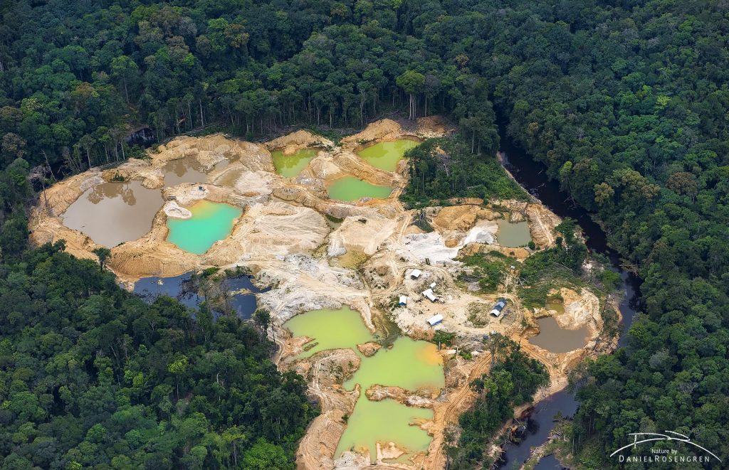 Illegal gold mining inside Kaieteur NP. Aerial photo from a plane. Guyana. © Daniel Rosengren